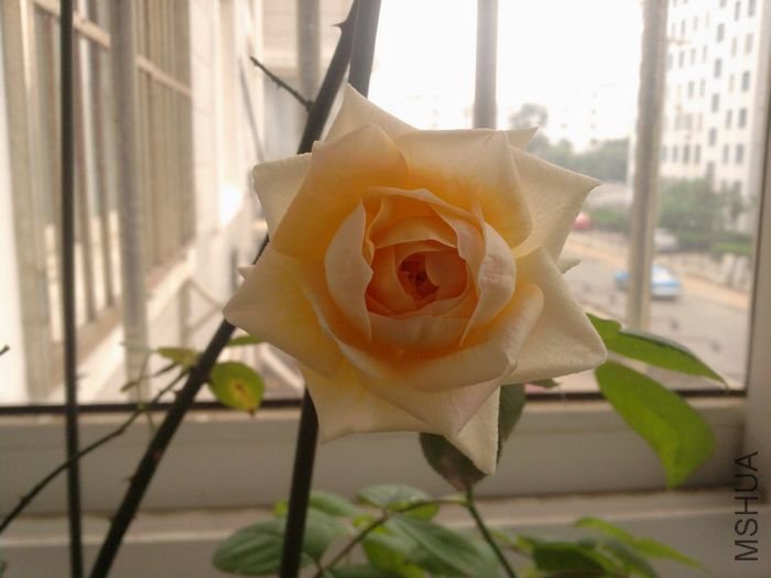 ��Ƭ-0074_1.jpg