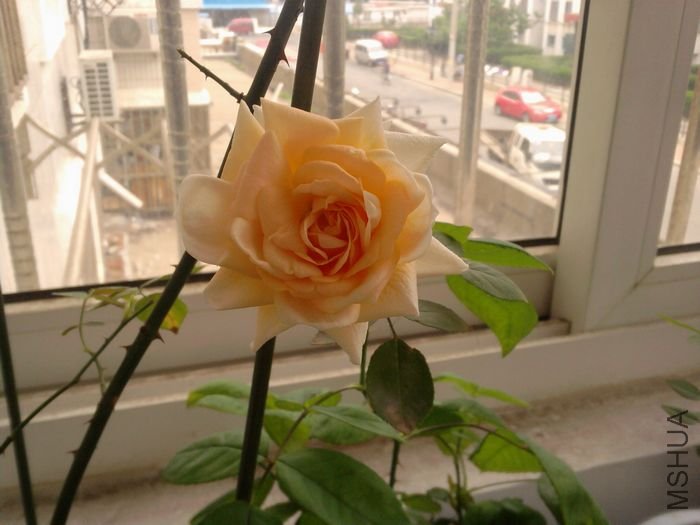 ��Ƭ-0075_1.jpg