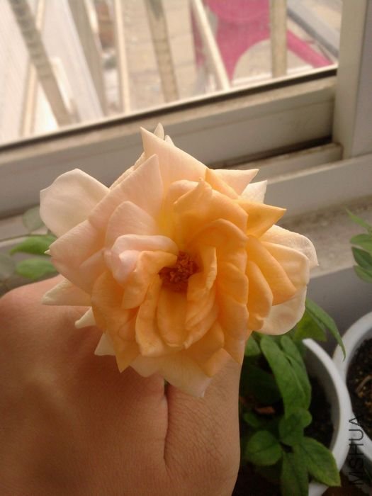 ��Ƭ-0076_1.jpg