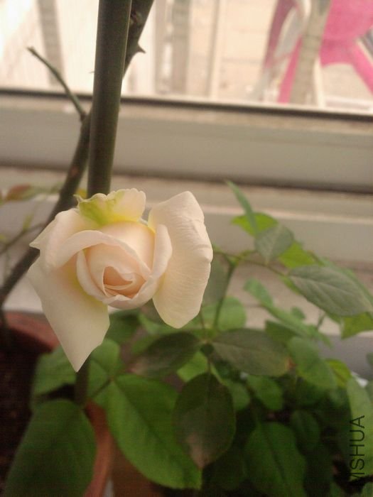 ��Ƭ-0070_1.jpg