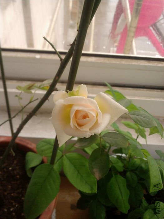 ��Ƭ-0071_1.jpg