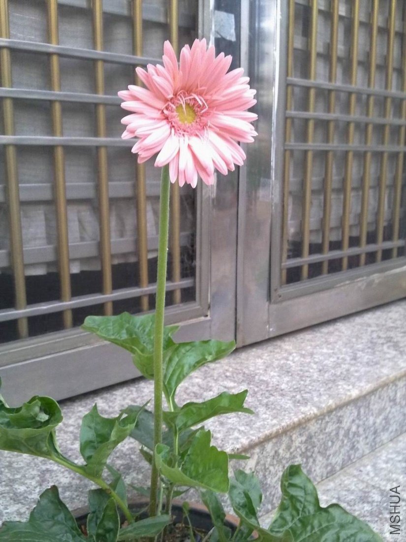 лл�����Ƿ�����