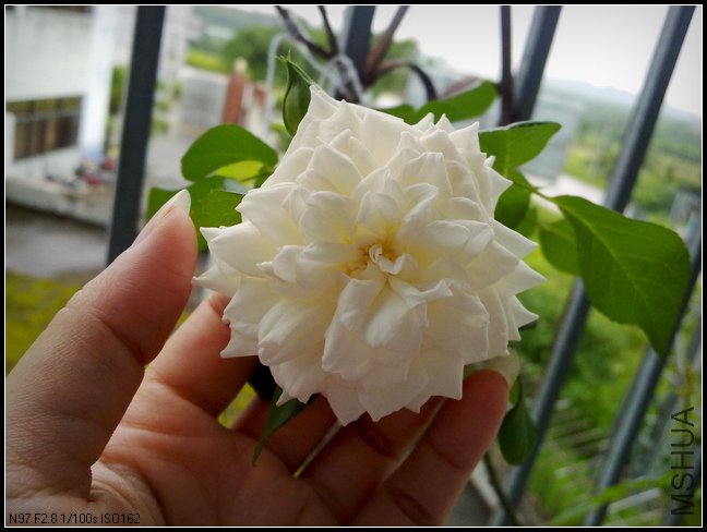 20110628291.jpg