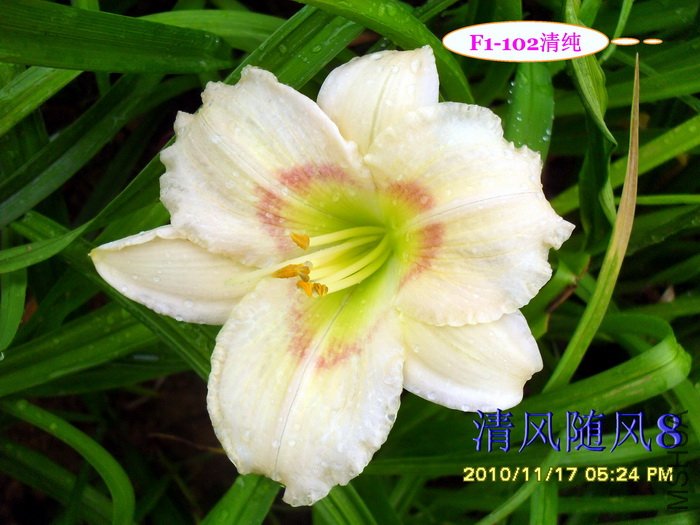 F1-102�崿 (2).jpg