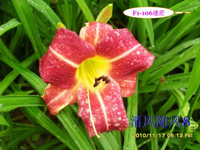 F1-106��ã (2).jpg