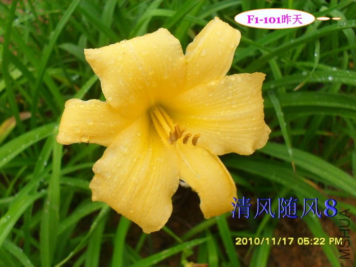 F1-101���� (3).jpg