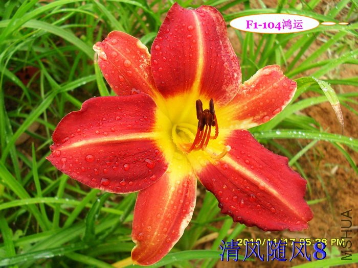 F1-104���� (1).jpg