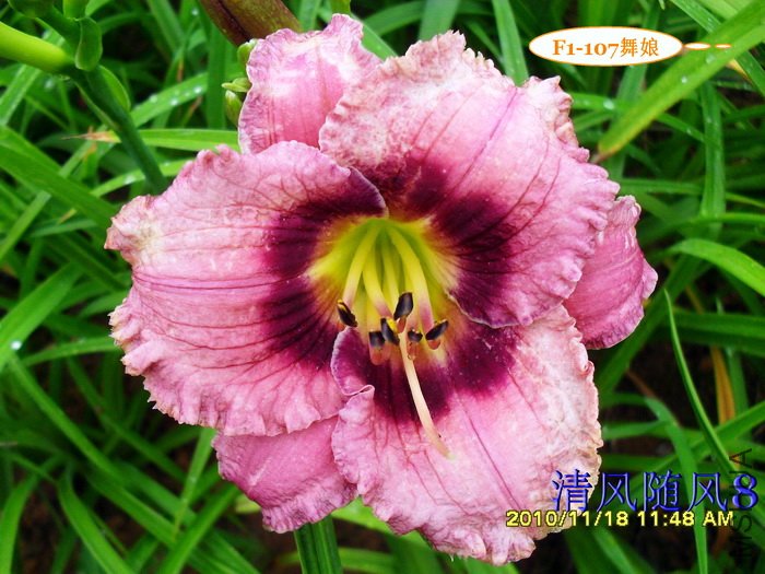 F1-107����- (2).jpg