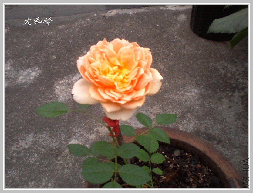 ��Ƭ-0598_����.jpg