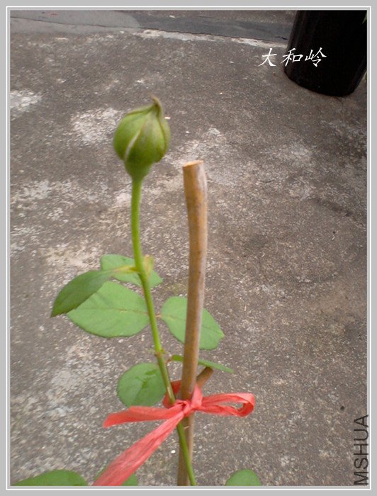 ��Ƭ-0601_����.jpg