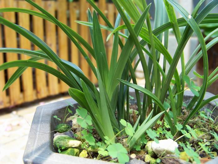 ������С 100_1198.JPG