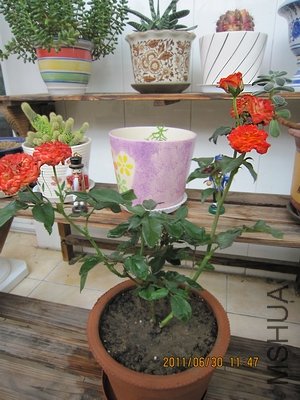 IMG_1502.jpg