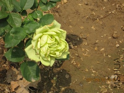 IMG_1508.jpg