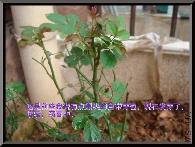 tugai.net.20110630155517.jpg
