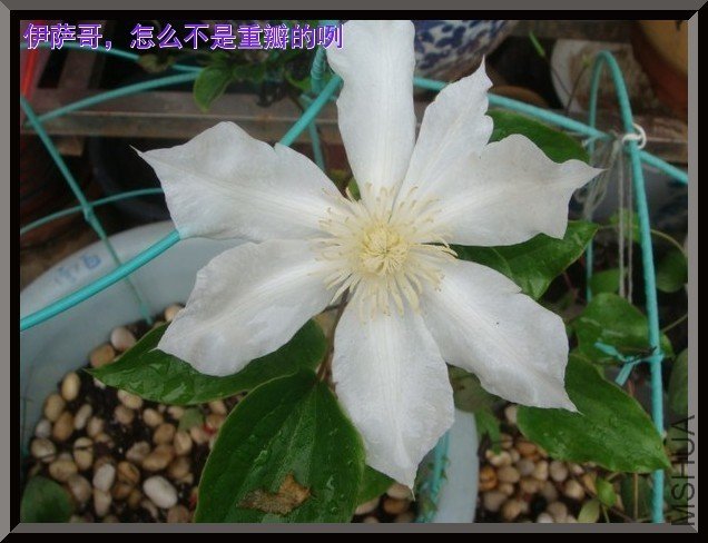 tugai.net.20110630161230.jpg