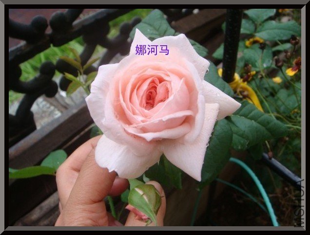 tugai.net.20110630161129.jpg