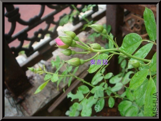 tugai.net.20110630161454.jpg