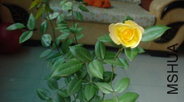 5C0D3E30-3360-4AC7-953A-E16265AED64D.jpg