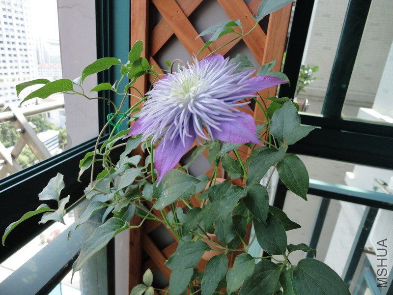 0702ʢ����6��2.jpg
