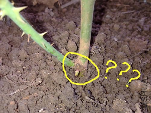 20110703021.jpg