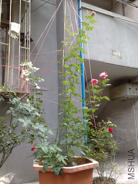 201107032166.jpg