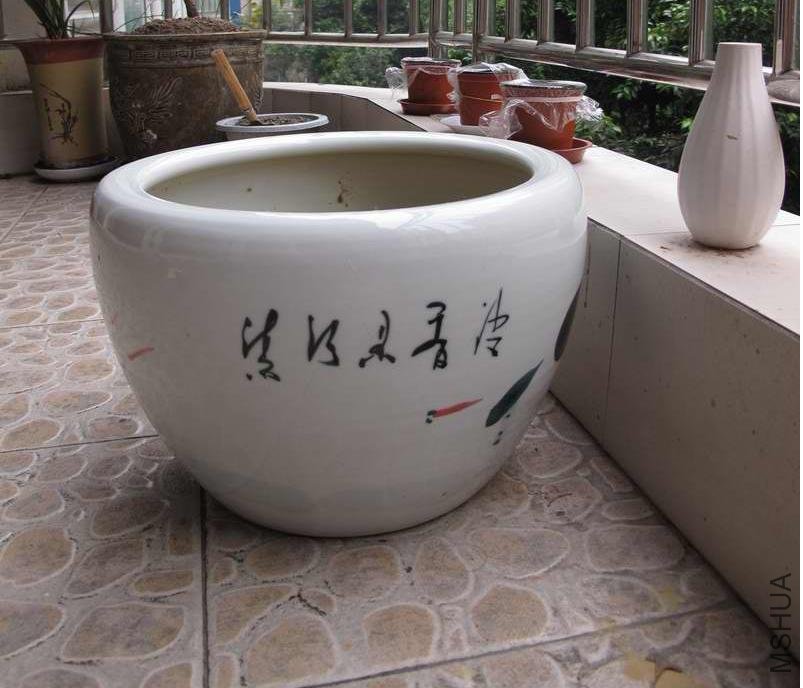 ���� IMG_0987.JPG