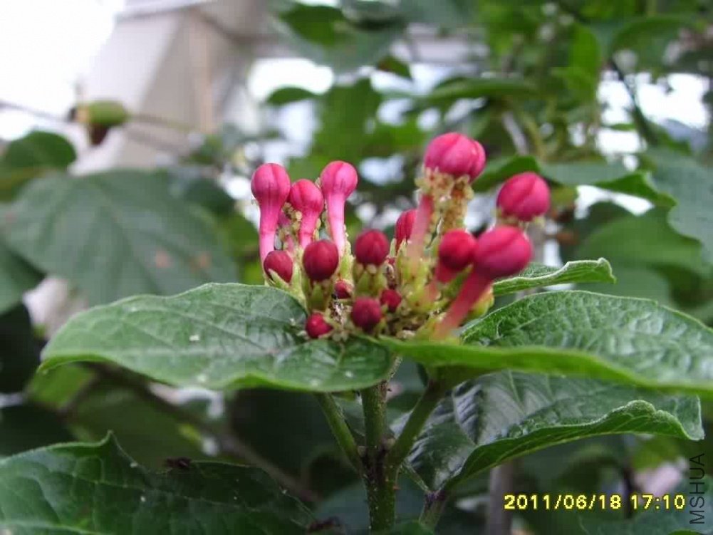 ��ĵ����