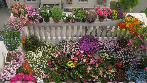 IMG_1107.JPG