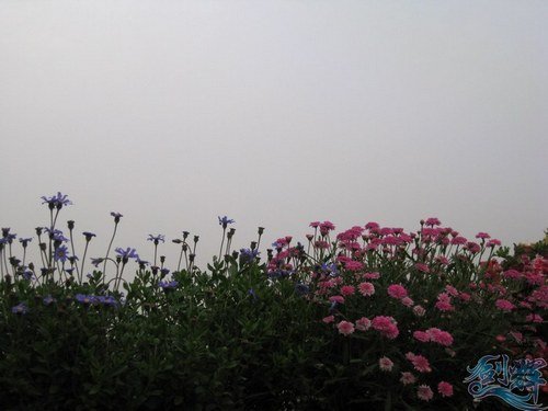 IMG_1170.JPG