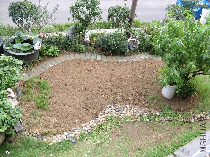 ������С IMG_6440.JPG