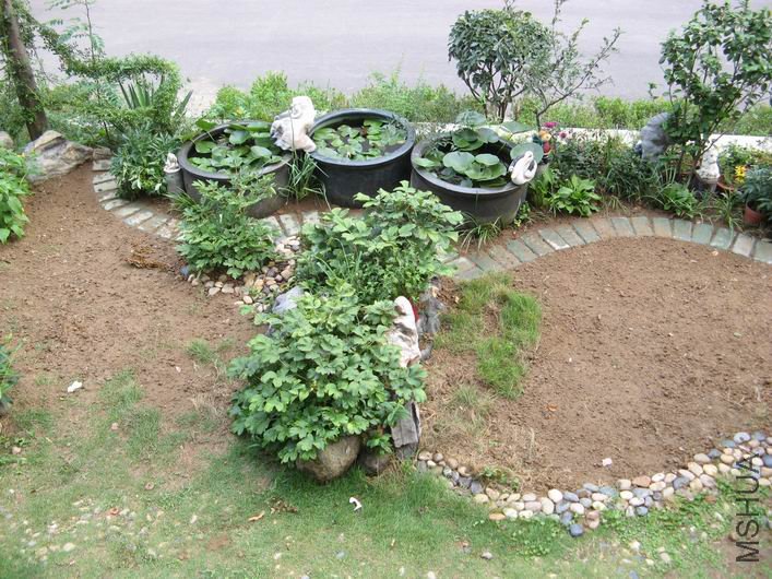 ������С IMG_6439.JPG