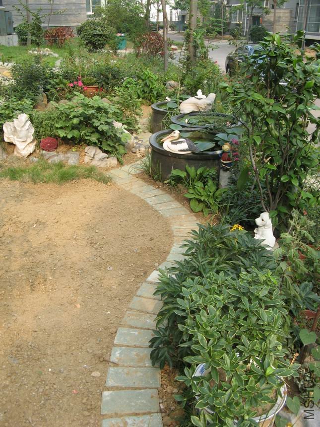 ������С ��ת IMG_6464.JPG