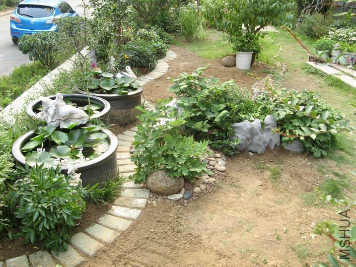 ������С IMG_6415.JPG