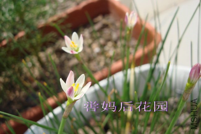 DSC01998_������С.jpg