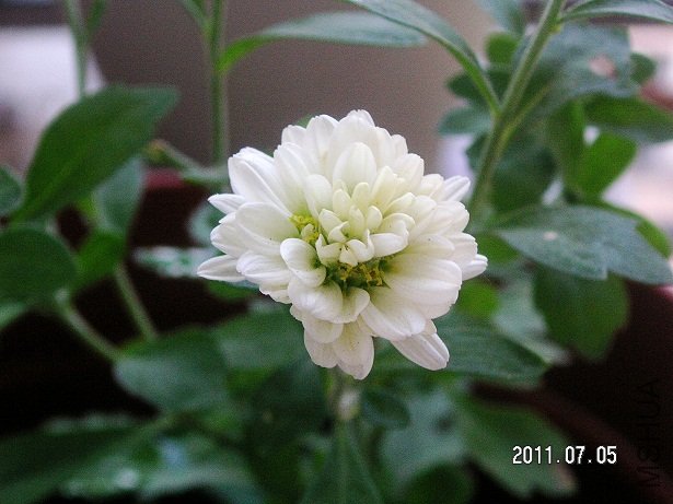 PICT0080.JPG