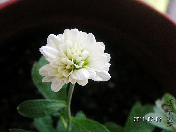 PICT0077.JPG
