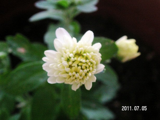 PICT0076.JPG