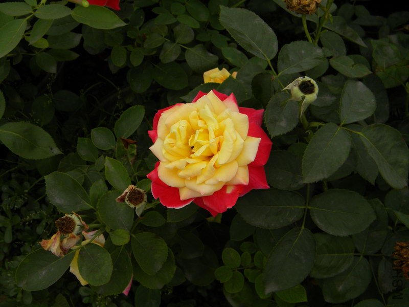 DSCN2744.JPG