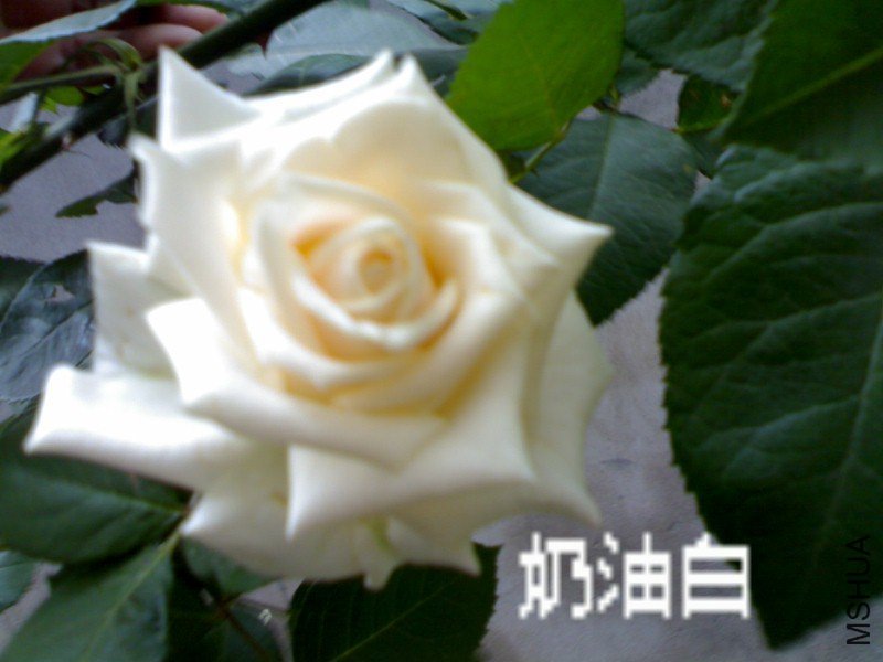 201105221028-001.jpg