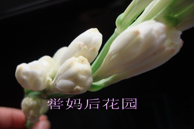 DSC02116_������С.jpg