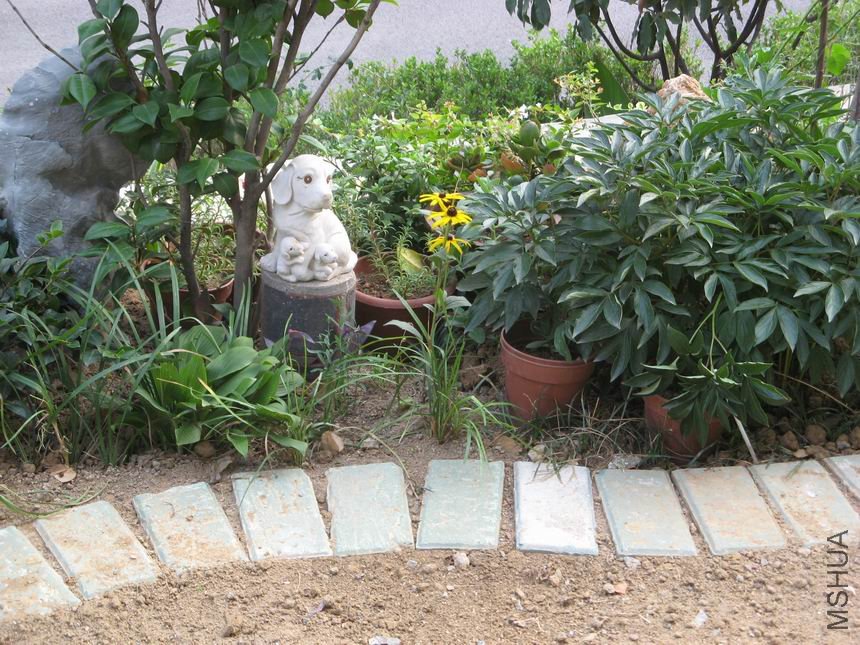 ������С IMG_6481.JPG