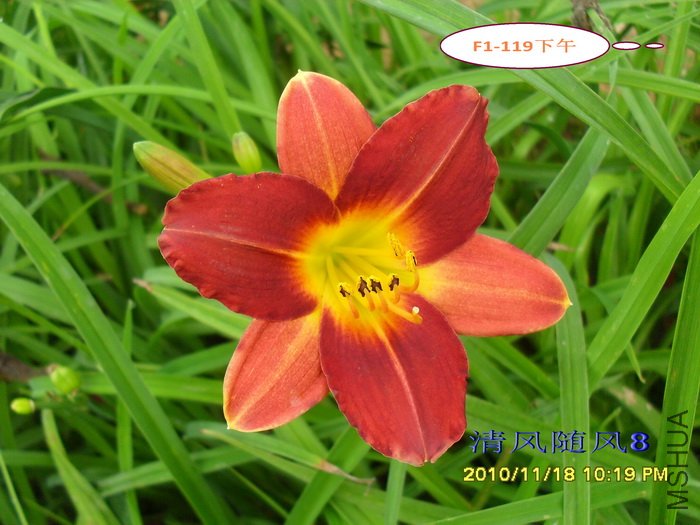 F1-119���� (2).jpg