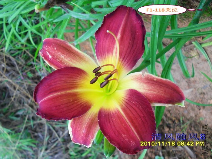 F1-118���� (2).jpg