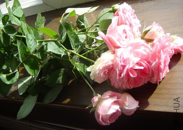 DSC01028.JPG