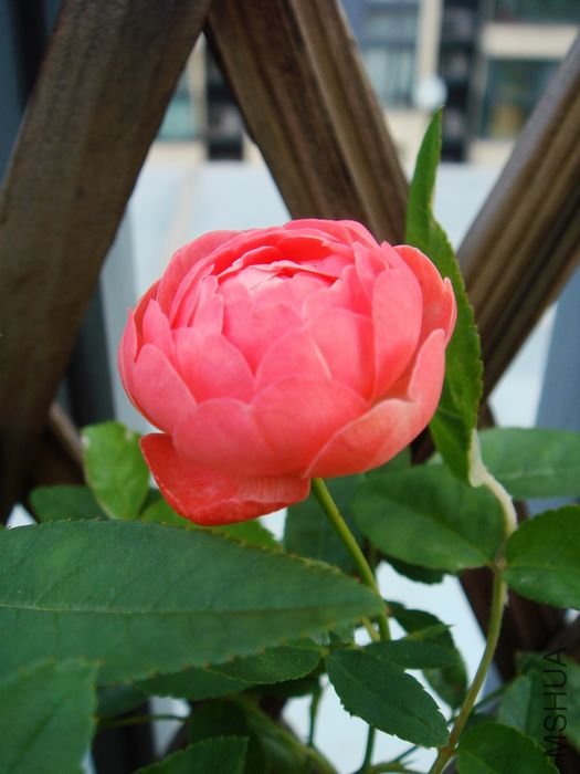 DSC00026.JPG